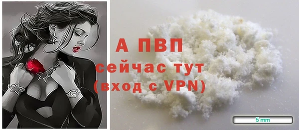 СК Богородск