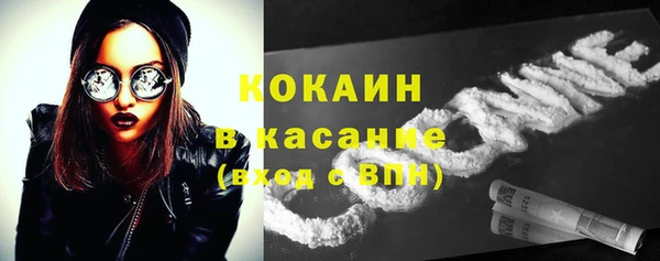 СК Богородск