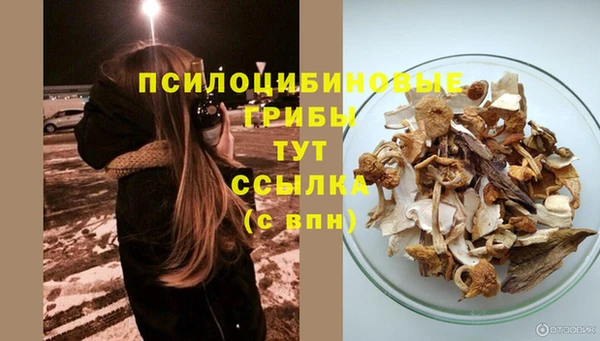 MDMA Богородицк