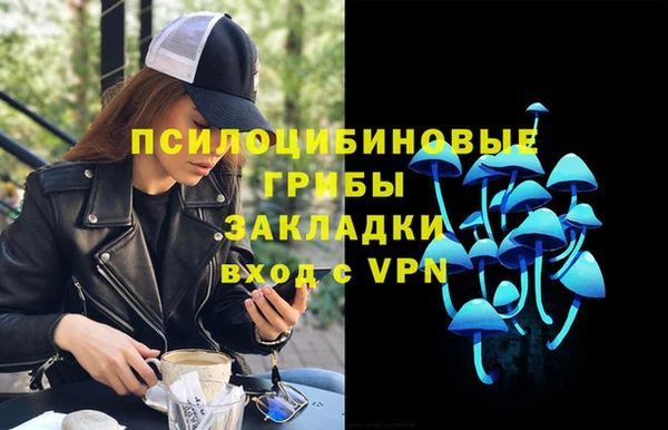 ECSTASY Снежногорск