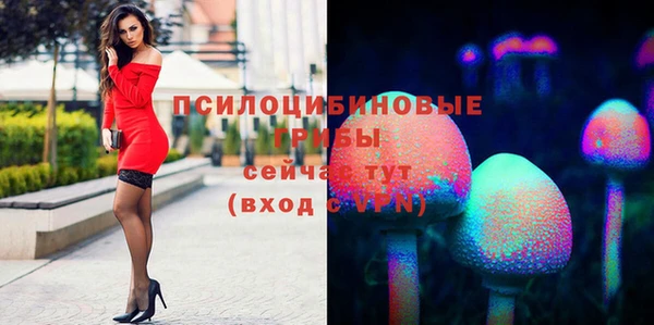 СК Богородск